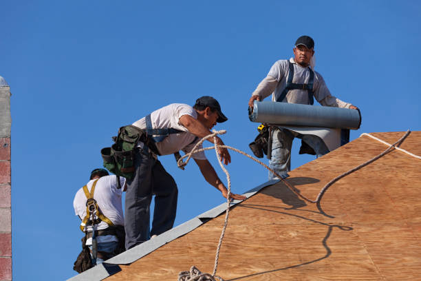 Roof Gutter Cleaning in Evanston, IL