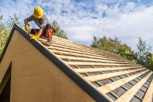 Best Roof Gutter Cleaning  in Evanston, IL