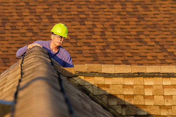 Best Roof Gutter Cleaning  in Evanston, IL